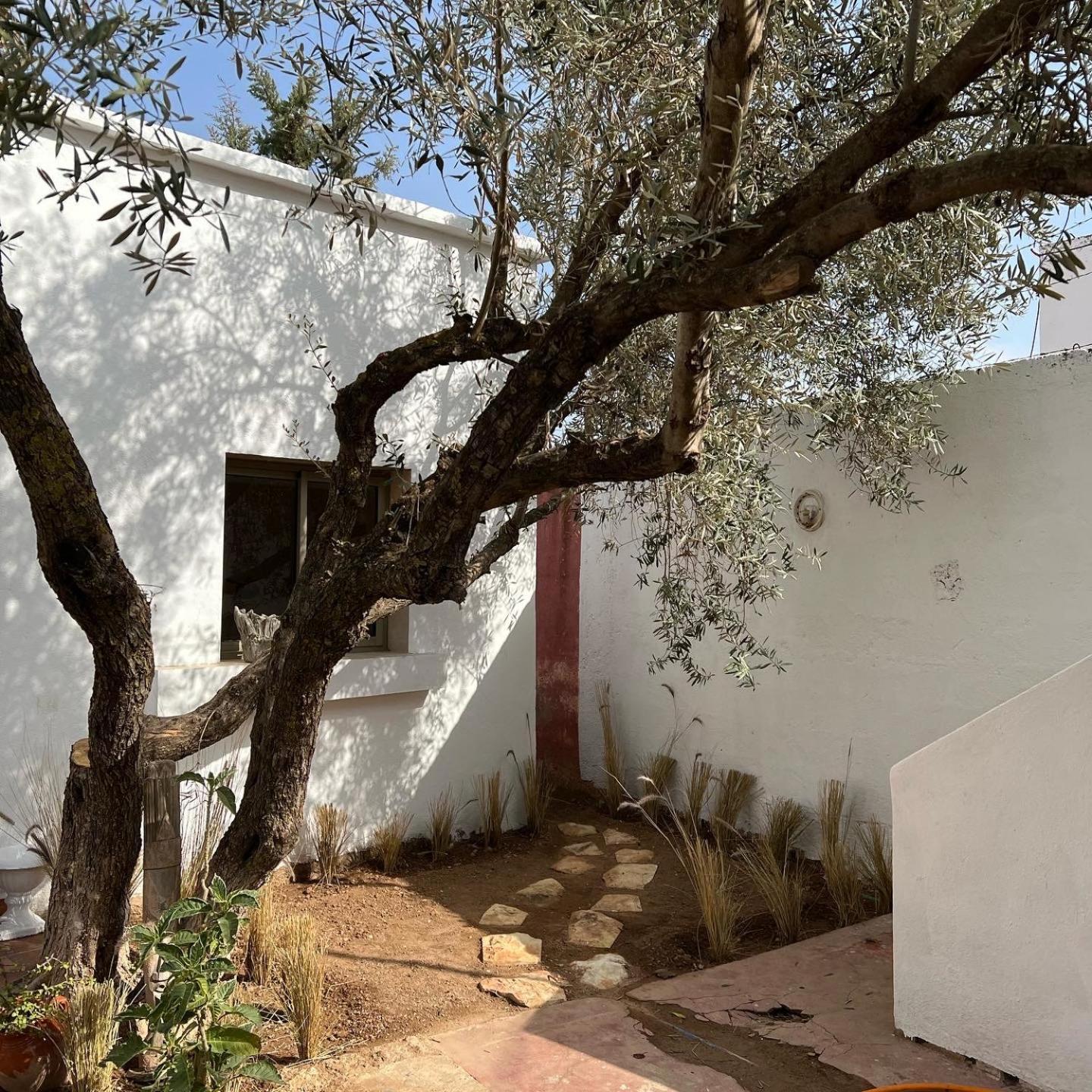 Maison D'Hotes La Ferme Aziza Fez Exterior foto
